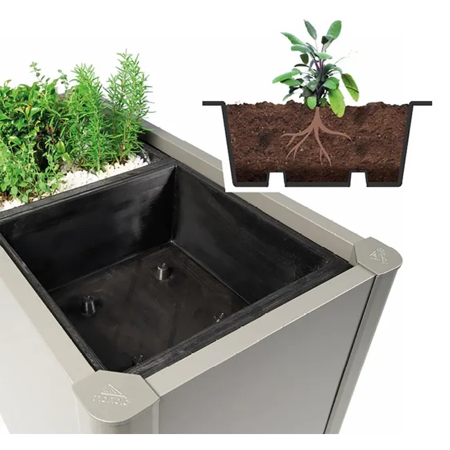 Biohort Pflanzeinsatz zu Pflanzbeet Belvedere 4 Stück